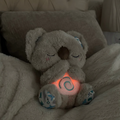 Velvinor™ | Koala Apaisant