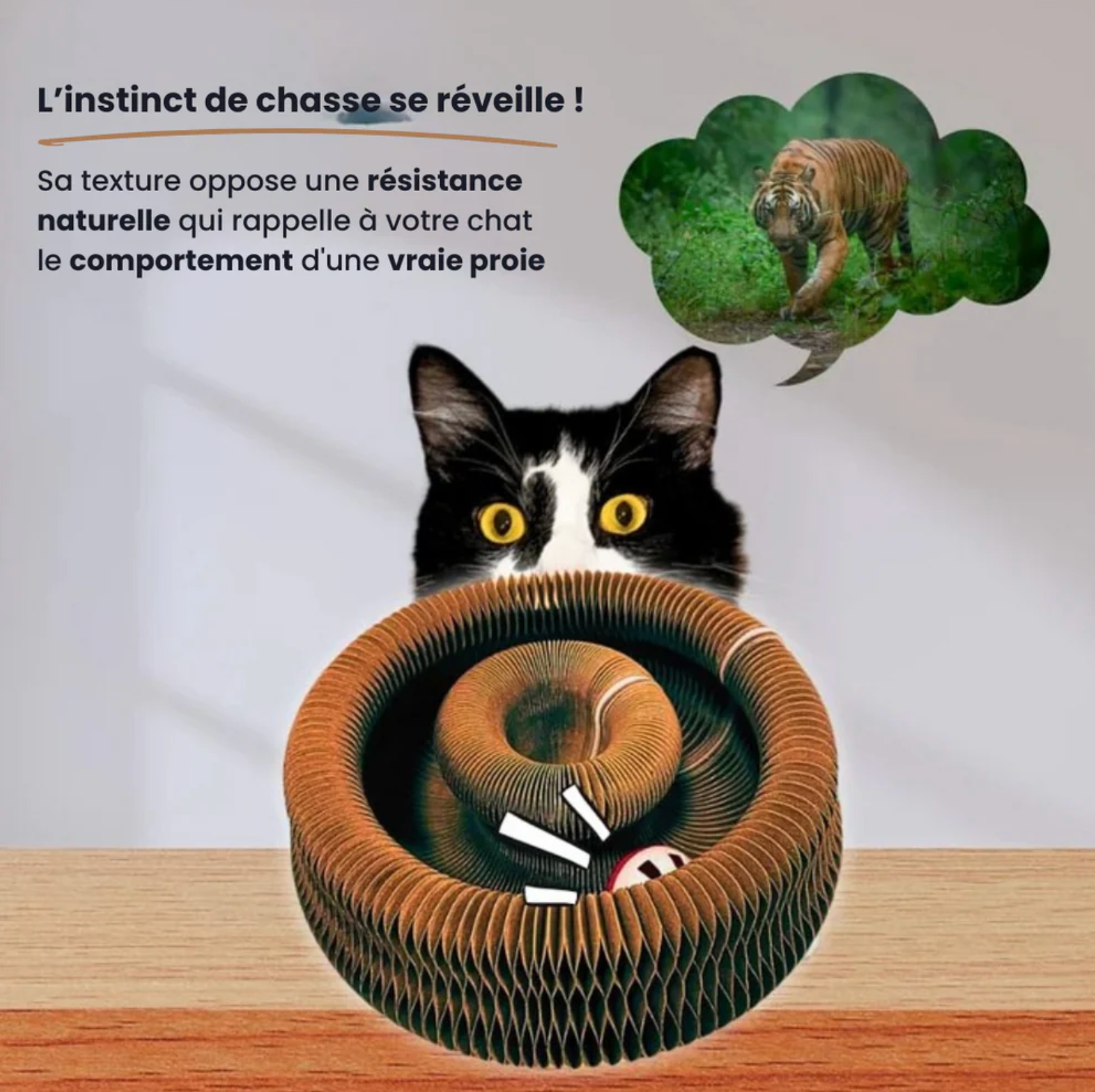 Velvinor™ | Griffoir interactif pour chats