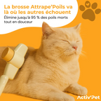 Velvinor™ | Brosse Attrape Poils