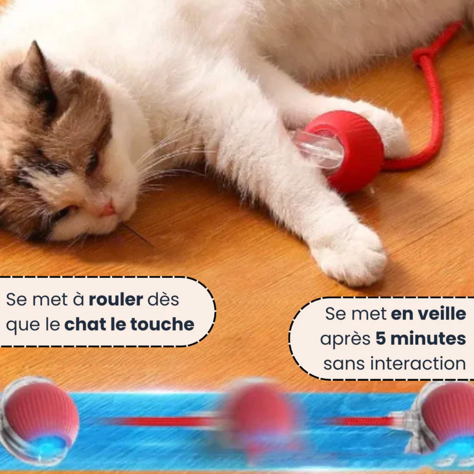 Velvinor™ | Balle Interactive pour Chats