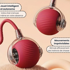 Velvinor™ | Balle Interactive pour Chats