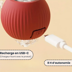Velvinor™ | Balle Interactive pour Chats