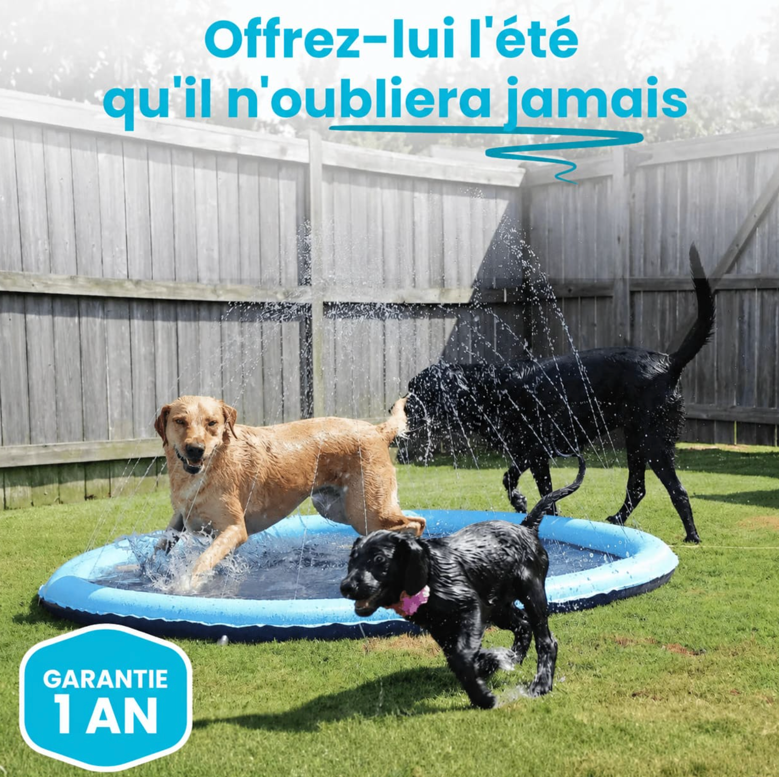 Tapis d’Eau Rafraîchissant pour Chiens
