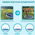 Tapis d’Eau Rafraîchissant pour Chiens