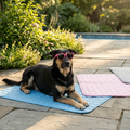 Tapis Rafraîchissant pour Animaux
