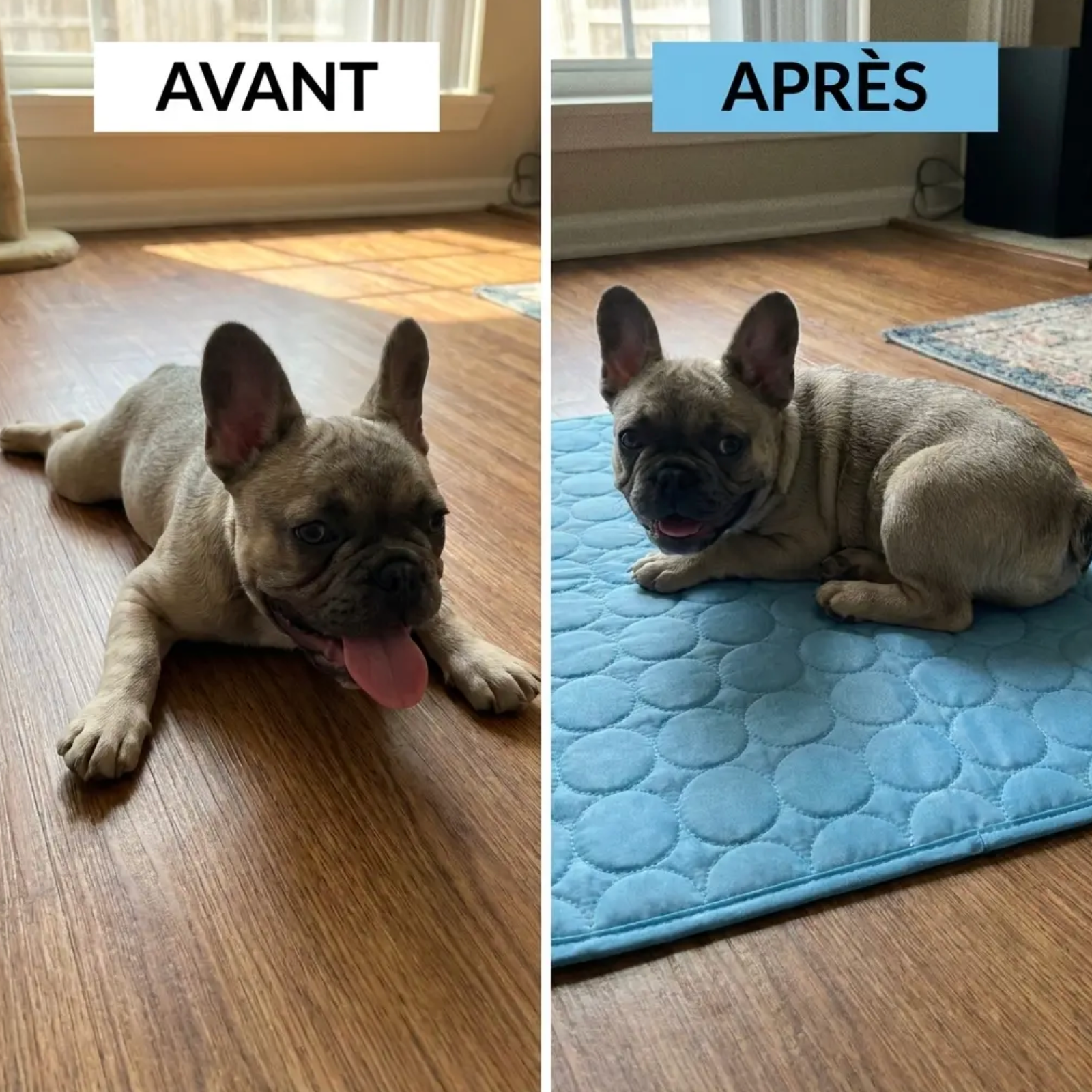 Tapis Rafraîchissant pour Animaux