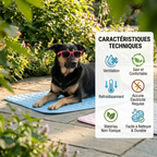Tapis Rafraîchissant pour Animaux
