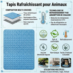 Tapis Rafraîchissant pour Animaux