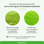Engrais Liquide pour Pelouse