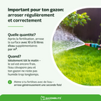 Engrais Liquide pour Pelouse